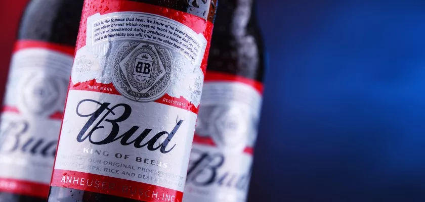 Bud Digital Marketing